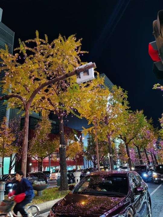 Huawei Mate 30 Pro Photo 4 Night