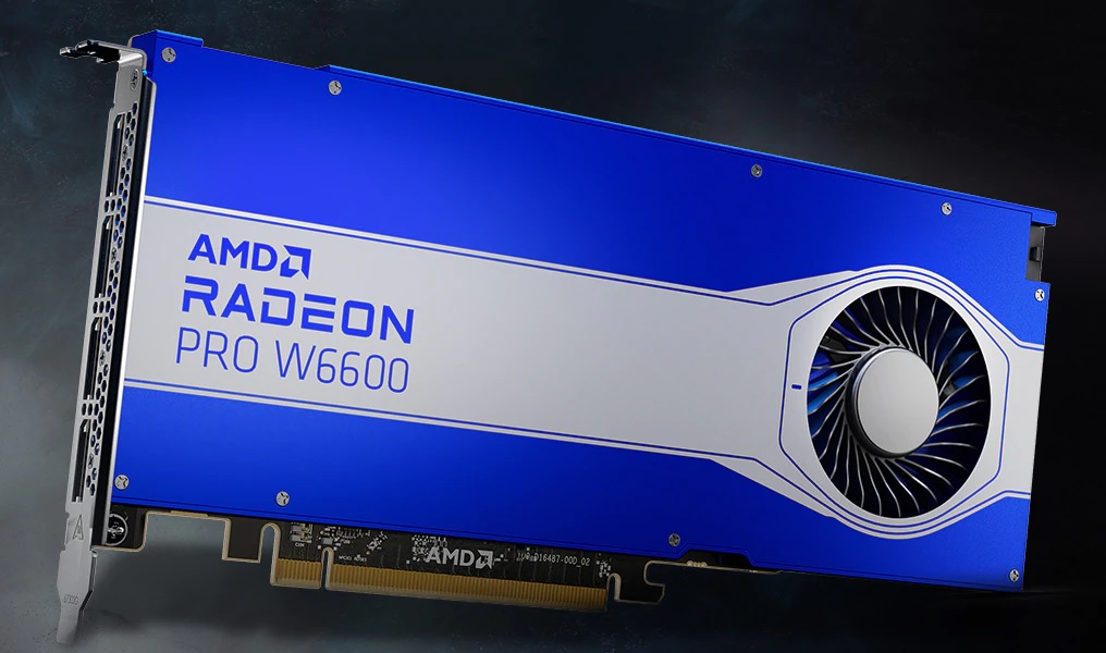 Radeon Pro W5500 Купить