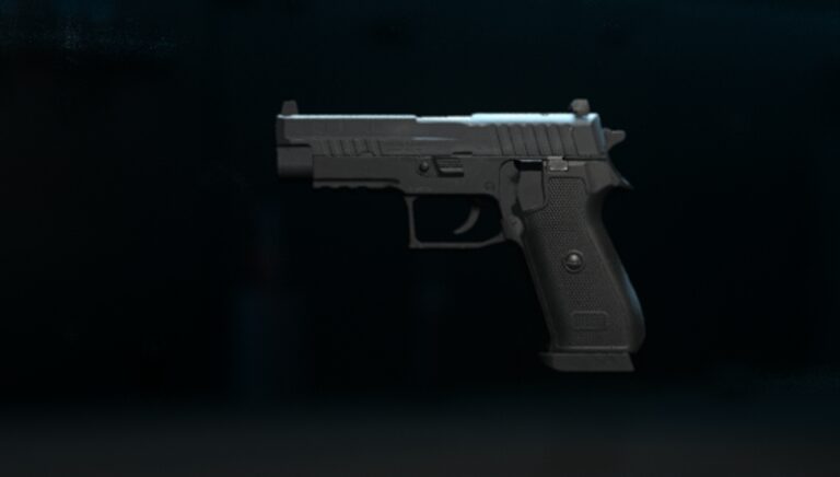 Modern Warfare 2 P890