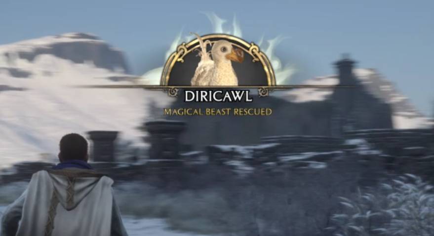 Hogwarts Legacy Diricawl Cover