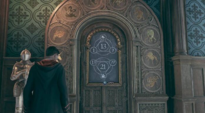 Door Puzzle Cover