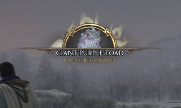 Hogwarts Legacy Giant Purple Toad Cover