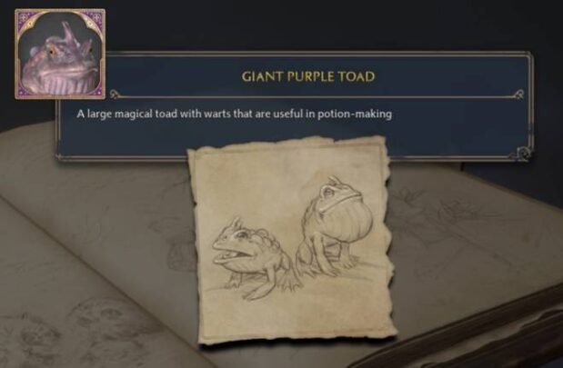 Hogwarts Legacy Giant Purple Toad Details