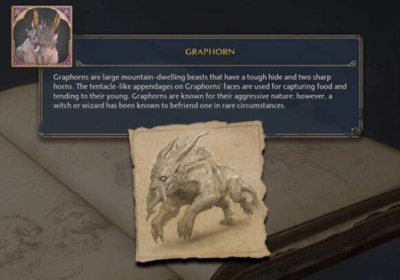 Hogwarts Legacy Graphorn Details