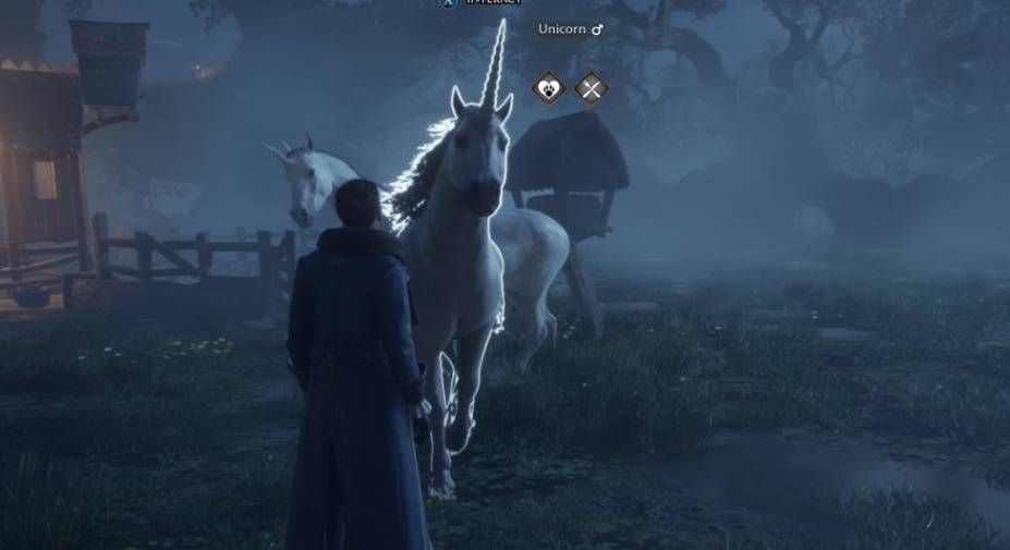 Hogwarts Legacy Unicorn