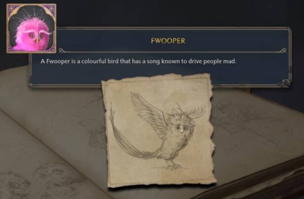 Hogwarts legacy fwooper details