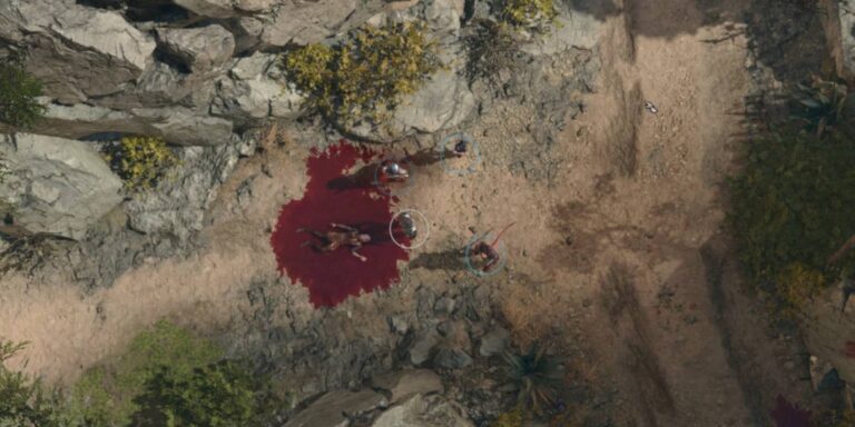 Baldurs Gate 3 Top Down Camera Fix