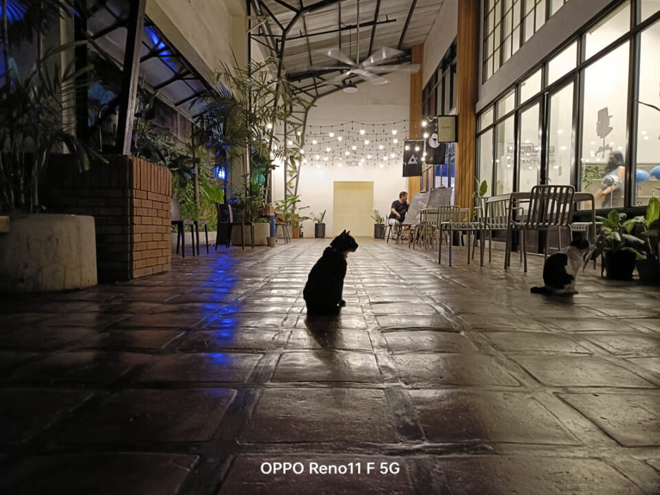 OPPO Reno11 F 5G Main Camera (5)