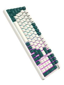 DF98 RGB Mech KB 1