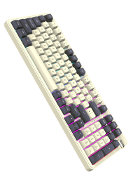 DF98 RGB Mech KB 2