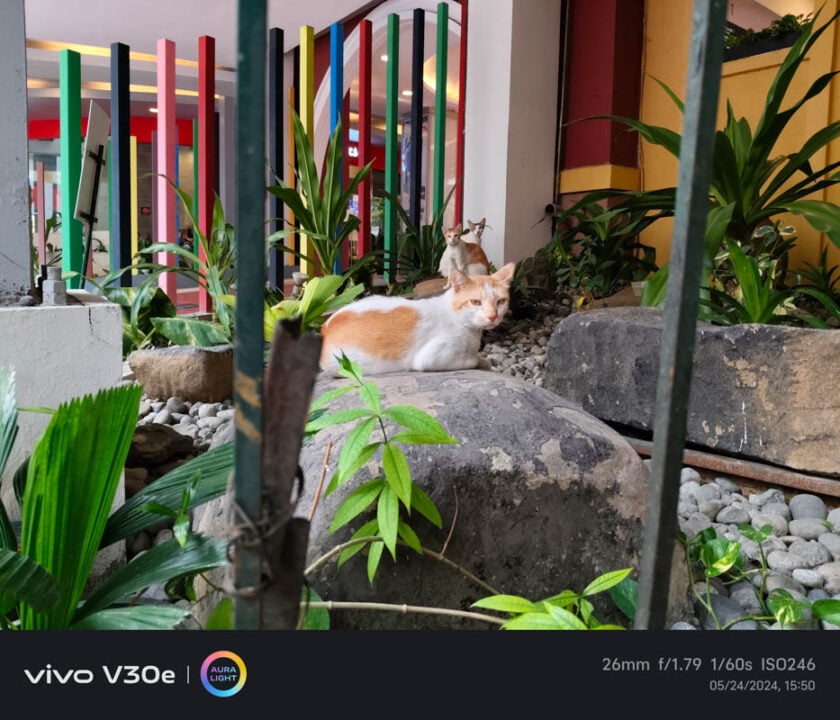 vivo V30e Sample Photos (16)