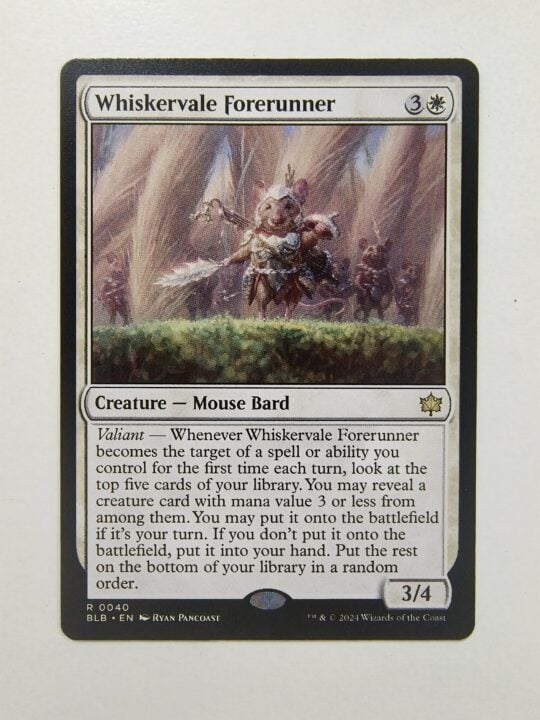 Whiskervale Forerunner