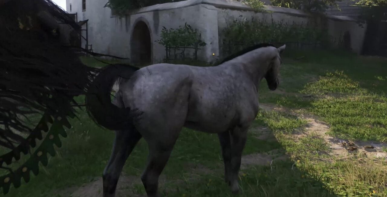 First horse pebbles KCD2