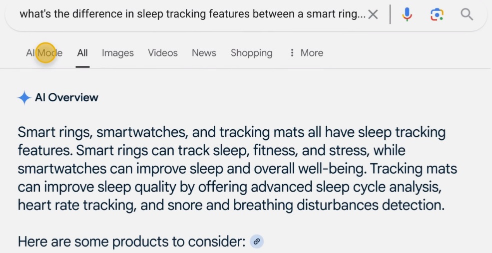 Google AI Mode 2