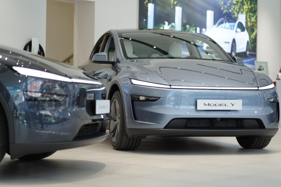 Tesla Earth Day Celebration Model Y (8)