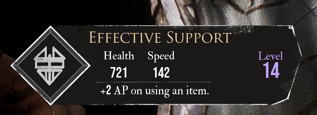 Expedition 33 Effective Support
