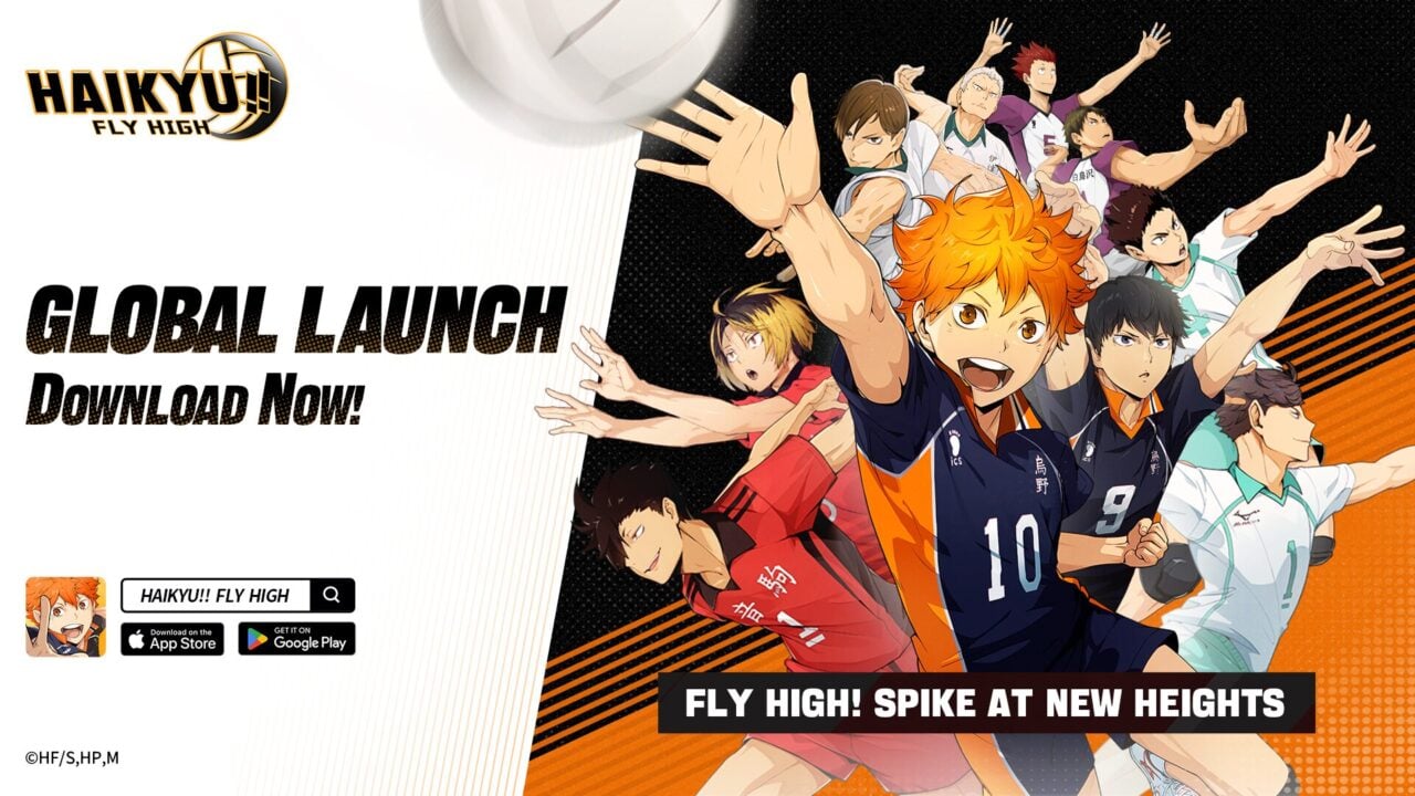 HAIKYU FLY HIGH Release